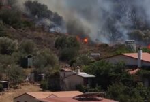 Photo of Atenas, bajo alerta máxima: impactantes videos del violento incendio que obligó a evacuar a cinco pueblos
