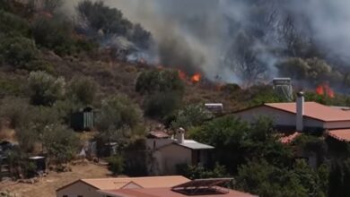 Photo of Atenas, bajo alerta máxima: impactantes videos del violento incendio que obligó a evacuar a cinco pueblos
