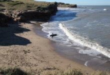Photo of Mar del plata todo el año: aventura, deportes al aire libre y mucho más