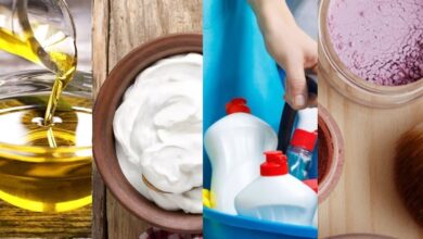 Photo of La Anmat actualizó los productos de los cuales evaluará el contenido sanitario de su publicidad en medios