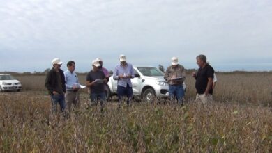 Photo of Evaluación de cultivos, soja no OGM, maní y alfalfa: el sorprendente salto tecnológico que se logró junto con el INTA
