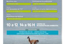 Photo of En junio disfrutá las actividades del Centro de Interpretación Ambiental