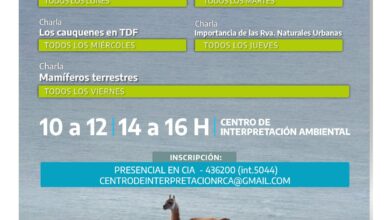 Photo of En junio disfrutá las actividades del Centro de Interpretación Ambiental