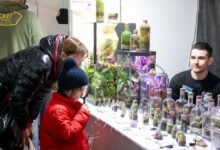 Photo of Con emprendimientos y pymes de toda la provincia y Santa Cruz, se viene la 1ª edición de la Expo “Emprender desde el sur”