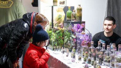 Photo of Con emprendimientos y pymes de toda la provincia y Santa Cruz, se viene la 1ª edición de la Expo “Emprender desde el sur”