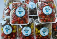 Photo of RGA Alimentos: producción todo el año