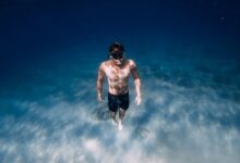 Photo of Apnea: por qué esta práctica conquista a surfistas, médicos y ansiosos