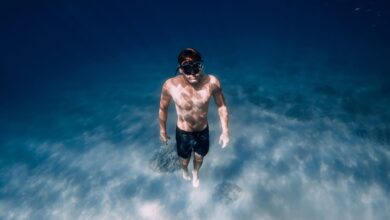 Photo of Apnea: por qué esta práctica conquista a surfistas, médicos y ansiosos