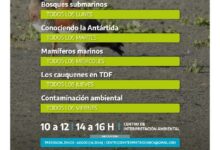 Photo of Este invierno, súmate a las actividades del centro de interpretación ambiental