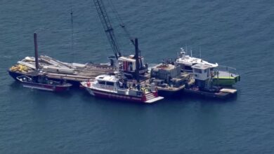 Photo of ¿Qué pasó? Los detalles del trágico accidente naval en el que murió la nieta de Cris Morena