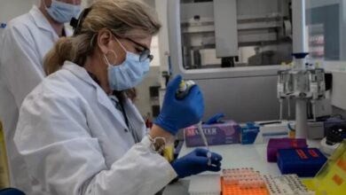 Photo of Como en la ciencia ficción: la predicción genética que ofrece Silicon Valley para saber si un embrión será una persona sana