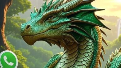 Photo of Cómo activar el “modo dragón” de WhatsApp
