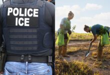 Photo of El temor al ICE golpea por dos a los migrantes en California: muchos no van a trabajar y otros sufren peores condiciones