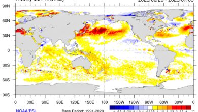 Photo of Hay un 70% de chances: se conoció qué va a pasar con El Niño en los próximos meses