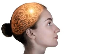 Photo of Médico reveló el hábito común que daña el cerebro y que causa envejecimiento: “Hace que nos volvamos menos eficientes”