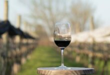 Photo of ¿Qué significa que un vino es DOC?