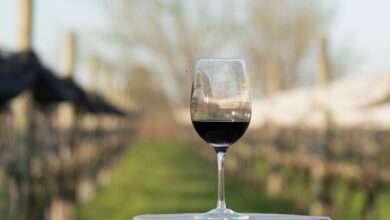 Photo of ¿Qué significa que un vino es DOC?