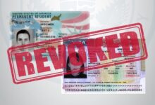 Photo of Adiós green card: qué necesita el gobierno de EE.UU. para iniciar un proceso de deportación contra un residente