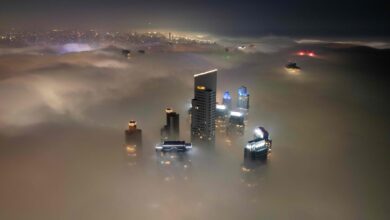 Photo of En la niebla