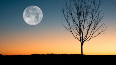 Photo of Cuándo es la Luna llena de julio 2025