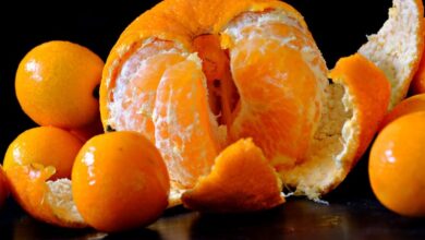 Photo of Por qué hay que colocar cáscaras de mandarina cerca de puertas y ventanas