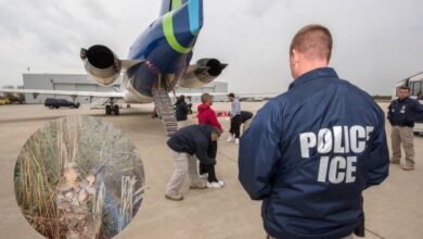 Photo of De héroe de guerra a deportado por el ICE: el migrante condecorado con el Corazón Púrpura que EE.UU. expulsó tras 48 años