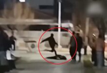 Photo of Brutal ataque a un joven en Mendoza: lo noquearon y le dieron una patada en la cabeza