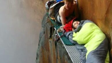 Photo of Compartió en X un hilo de las escaladas más impactantes y sorprendió a todos los usuarios: “Sin palabras”