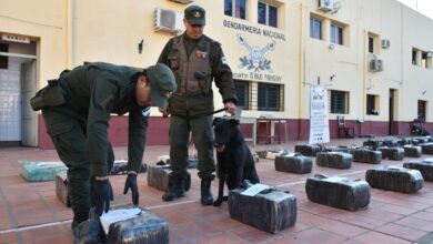 Photo of El héroe de cuatro patas: Tango descubrió un cargamento de casi una tonelada y media de droga en un camión que iba a Chile
