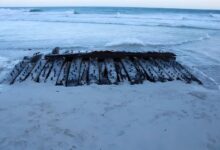 Photo of Corría por una playa y de casualidad encontró los restos de un velero de la Guerra de Independencia de EE.UU.