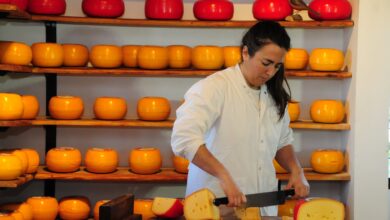 Photo of Una nueva Ruta del Queso invita a recorrer tambos y degustar los mejores sabores
