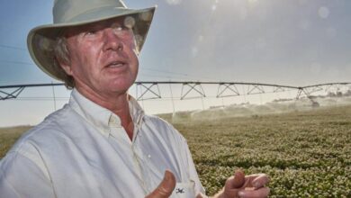 Photo of Sean Cameron: estudió en Escocia e Inglaterra, hizo clic como empresario del agro y habla de un negocio exitoso