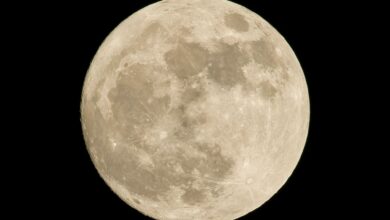 Photo of Calendario lunar de agosto 2025: ¿cuándo habrá luna llena en Estados Unidos?