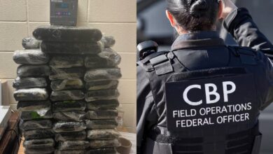 Photo of Quiso entrar a Texas con un cargamento ilegal en un camión de sodas, pero la brigada canina de la CBP lo descubrieron