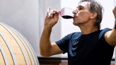 Photo of La particular mirada de Schiavi sobre la disolución del Consejo de Fútbol