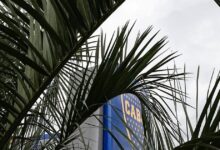 Photo of Boca EN VIVO: el 11 antiRacing, las ofertas por Zenón y Zeballos, Rojo y los colgados y más de este martes 5 de agosto