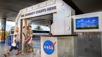Photo of Ni Disney ni Universal: la atracción N°1 de EE.UU. está en Florida, pero no es la que todos piensan