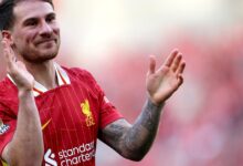 Photo of Alexis Mac Allister superó una lesión y volverá al ruedo en una final con el Liverpool