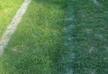 Photo of Insólita polémica: San Lorenzo acusó a Tigre de haber achicado la cancha, pero Morón la había modificado hace tres meses