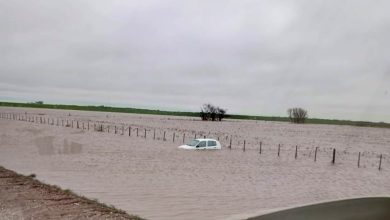 Photo of Tormenta de Santa Rosa: las 4 enfermedades graves que pueden surgir tras las inundaciones, según un especialista