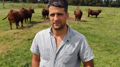 Photo of Maneja 6000 hectáreas: la familia que cambió el mapa de producir carne en una región cuenta su fórmula