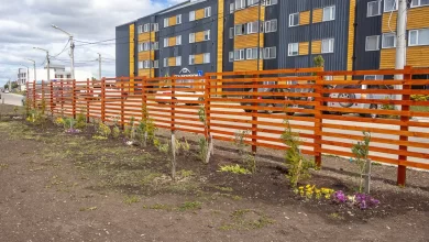 Photo of Más espacios verdes: continúan las tareas de mantenimiento y parquización en Río Grande