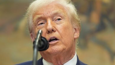 Photo of Salvataje: Trump ayudará con US$12.000 millones a los agricultores de Estados Unidos tras la “guerra” comercial con China