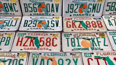 Photo of Adiós a las viejas placas en Florida: el nuevo diseño patriótico para el aniversario de EE.UU.