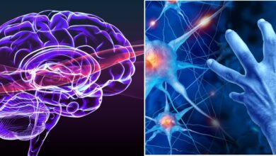 Photo of El hábito que más protege al cerebro: la fórmula secreta que recomienda neurólogo para evitar que la memoria falle